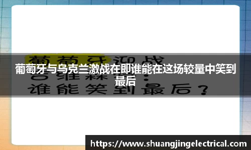 葡萄牙与乌克兰激战在即谁能在这场较量中笑到最后